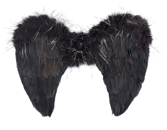 Nyx wings black