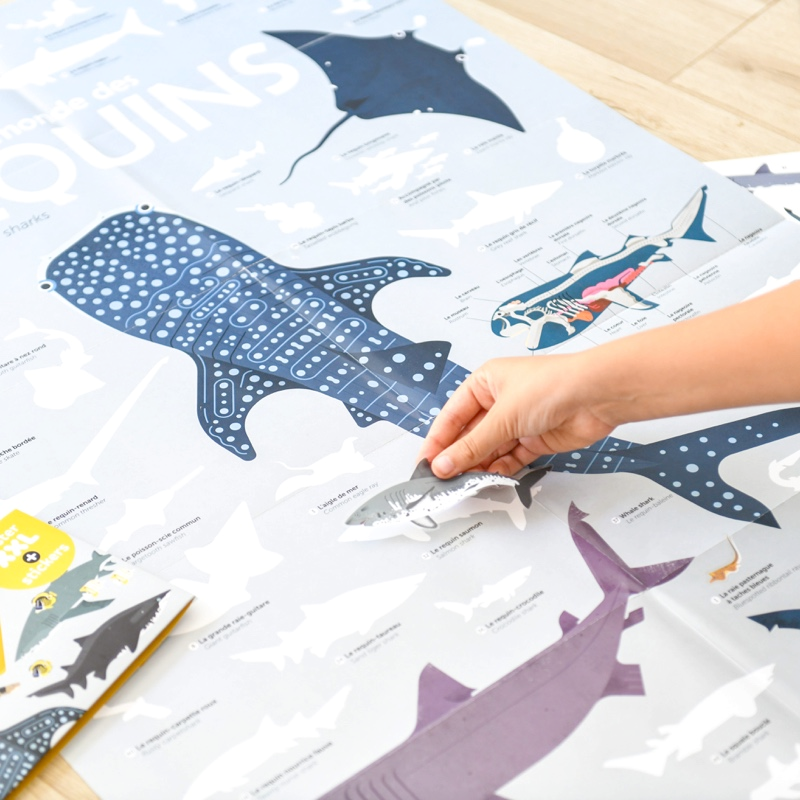 DISCOVERY - POSTER GÉANT + Stickers requins