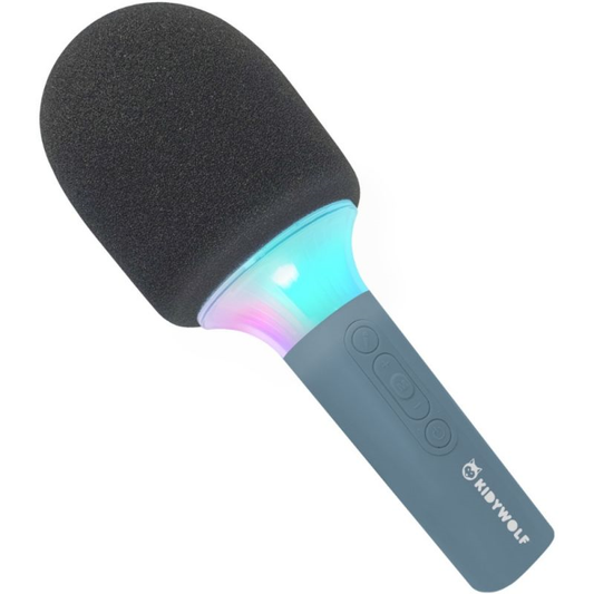 Micro Karaoke Bleu