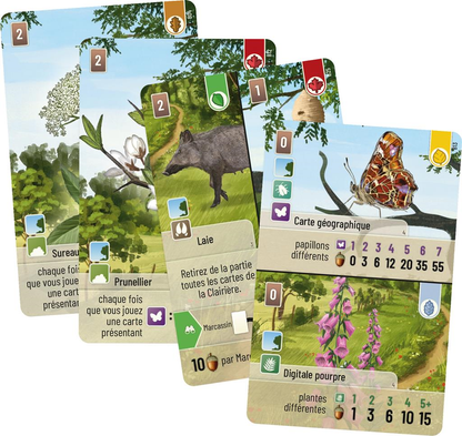 Forêt Mixte : Woodland Edge (Ext)