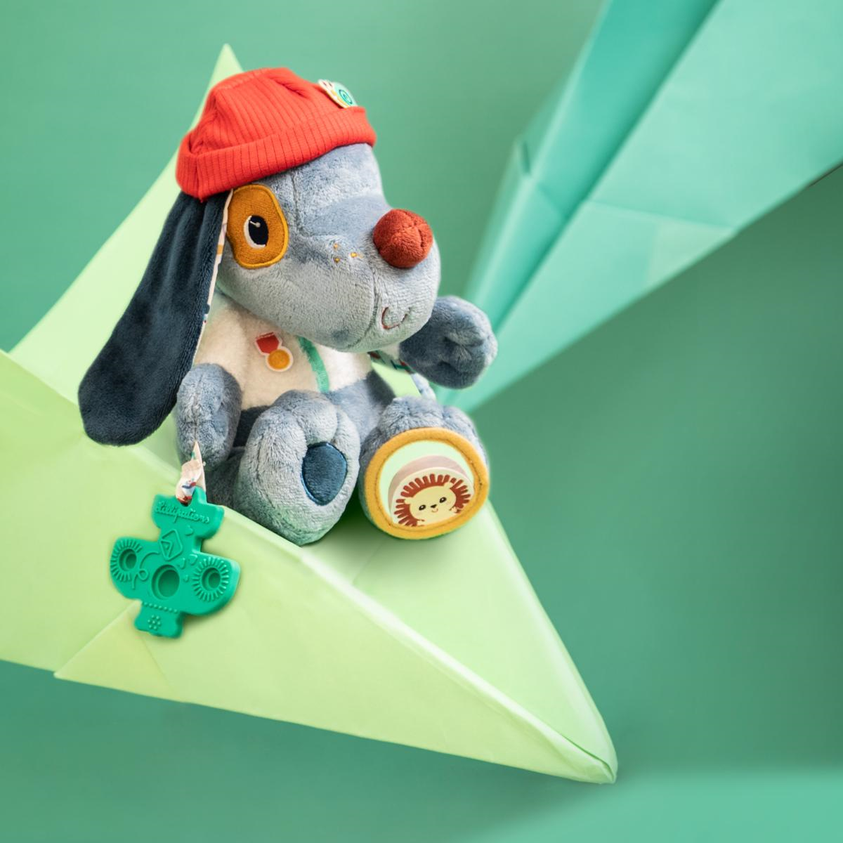 Jules Chien multi-activités