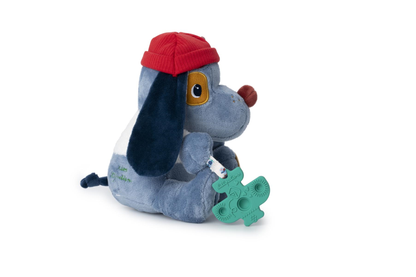 Jules Chien multi-activités