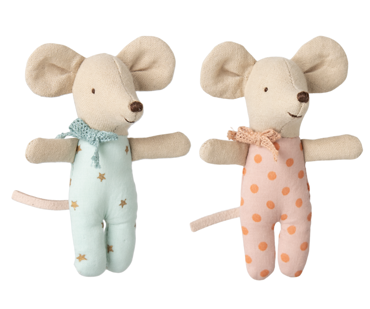 Jumeaux bébés souris dans leur boîte assortie