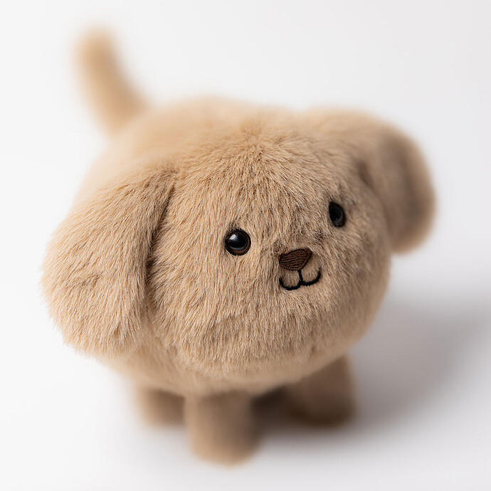 Caboodle Puppy - 11 cm x 10 cm