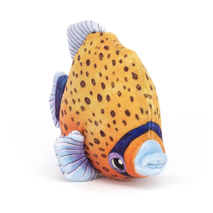 Fishiful Orange - 13 x 16 cm