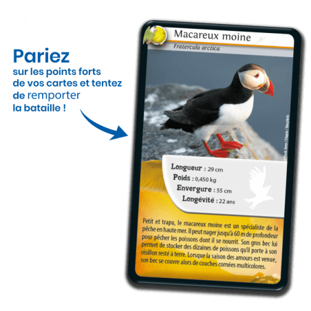 Defis Nature - Oiseaux - Nouvelle Edition