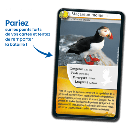 Defis Nature - Oiseaux - Nouvelle Edition