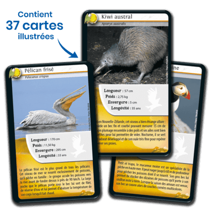 Defis Nature - Oiseaux - Nouvelle Edition