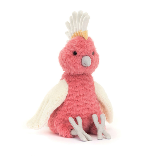 Squawkatoo - 25cm x 11cm x 11cm