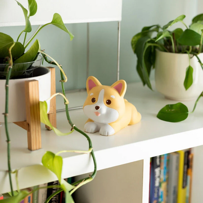 JOUET ANTI-STRESS - STRESS LESS - CORGI
