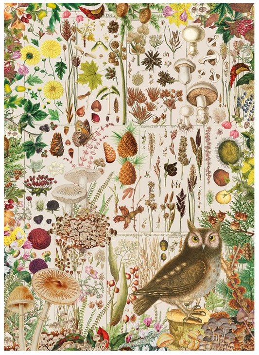 FALL FLORA - Puzzle 1000 pièces - Gibson