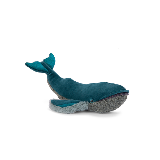 Petite baleine à bosse Tout autour du monde