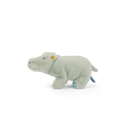 Petit hippopotame Tout autour du monde