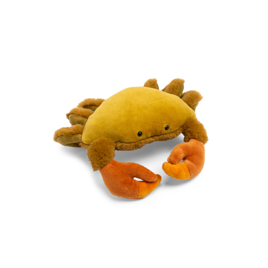 Petit crabe Tout autour du monde