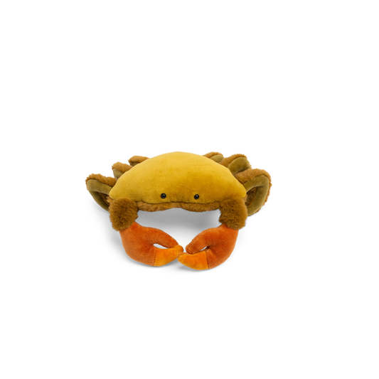 Petit crabe Tout autour du monde