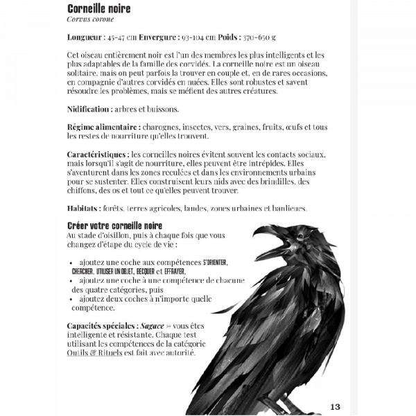 LA VOIE DU CORBEAU - Jeu de Rôle Solo