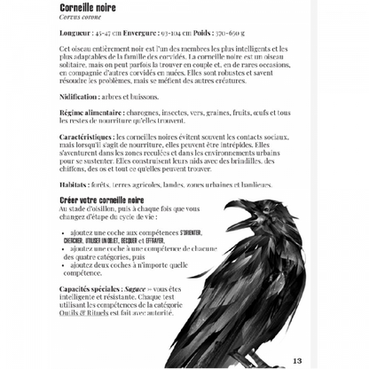 LA VOIE DU CORBEAU - Jeu de Rôle Solo