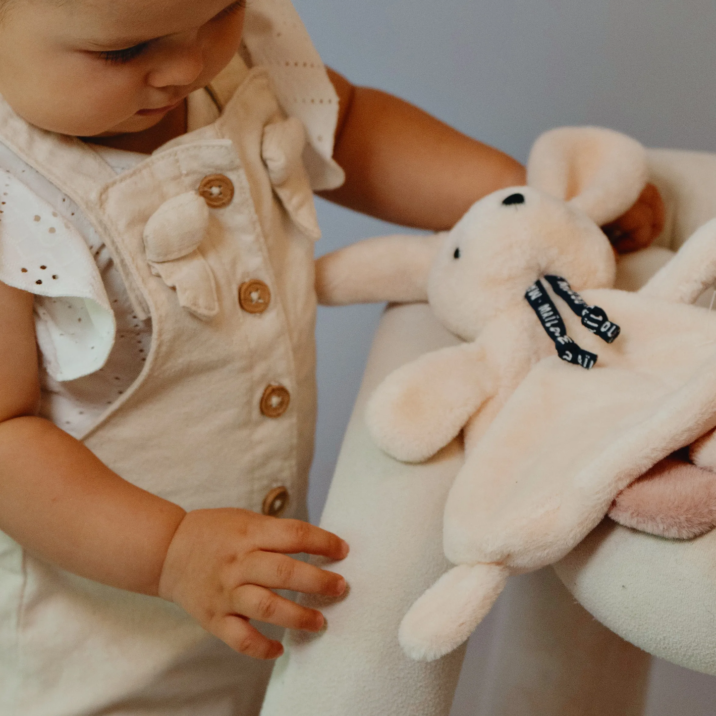 LAPIN DORLOTIN - DOUDOU - IVOIRE