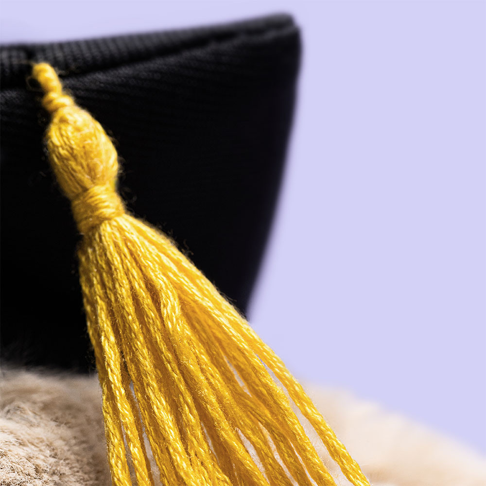 Bashful Bunny Graduation Outfit - 31cm x 12cm x 9cm
