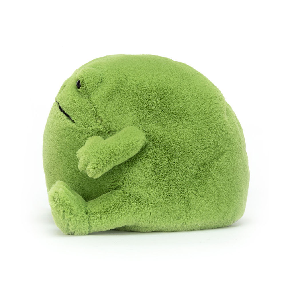 Ricky Rain Frog - 15cm x 16cm x 18cm