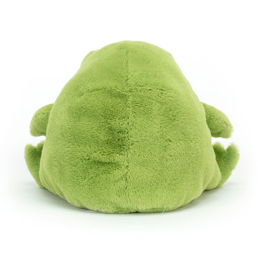 Ricky Rain Frog - 15cm x 16cm x 18cm