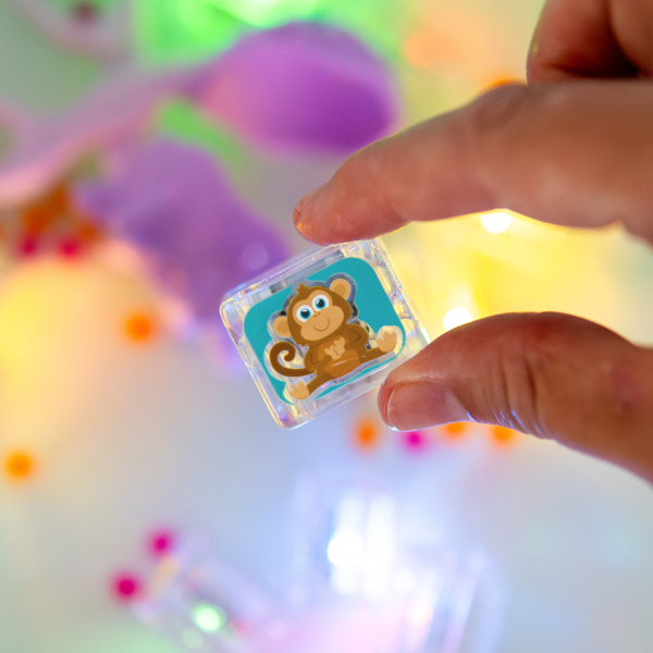 ZANY ZOO CUBES