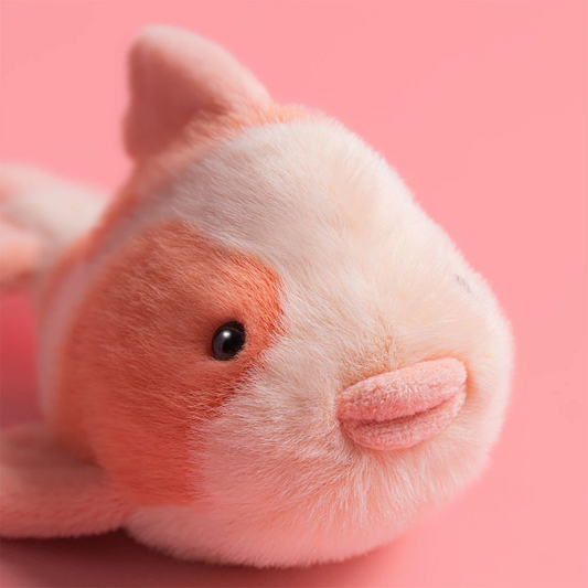 Fancy Carp - 11cm x 10cm x 20cm