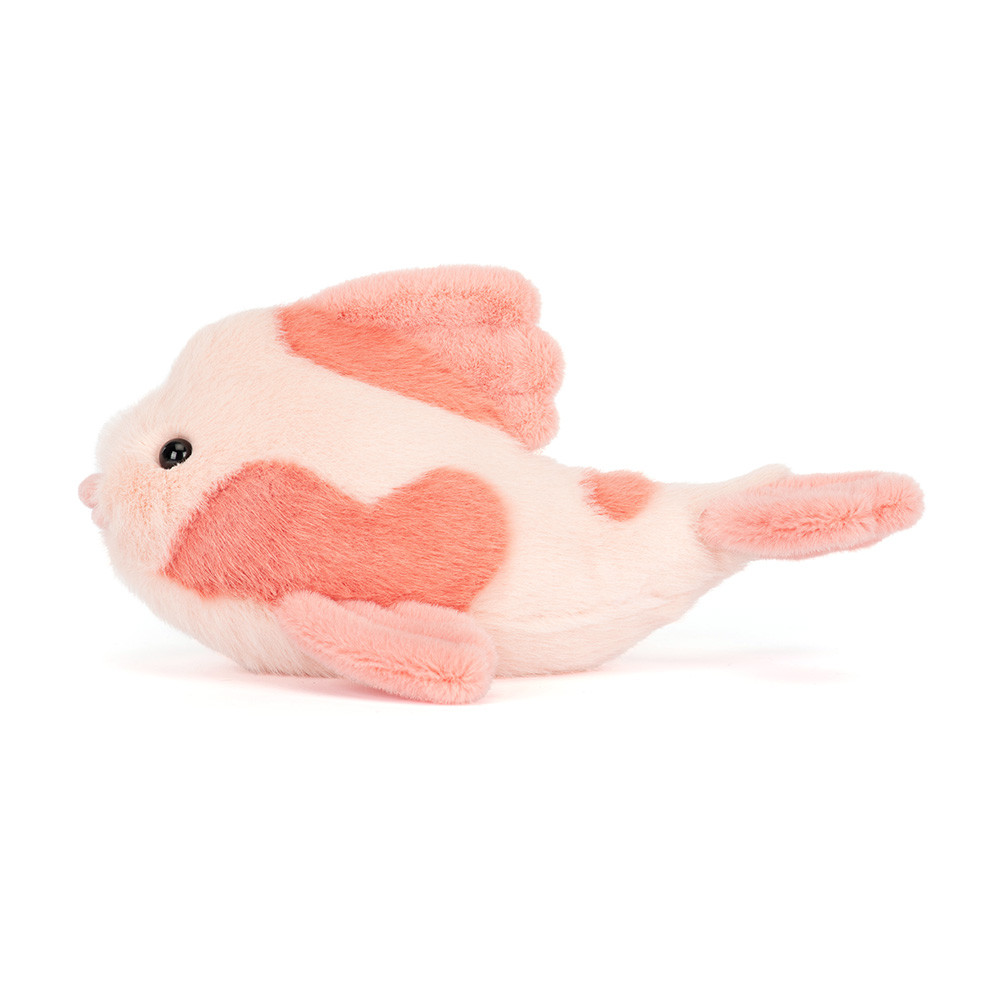 Fancy Carp - 11cm x 10cm x 20cm