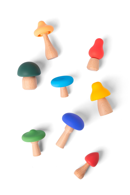 MUSHROOMS FULL COLOR - CHAMPIGNONG MULTICOLOR