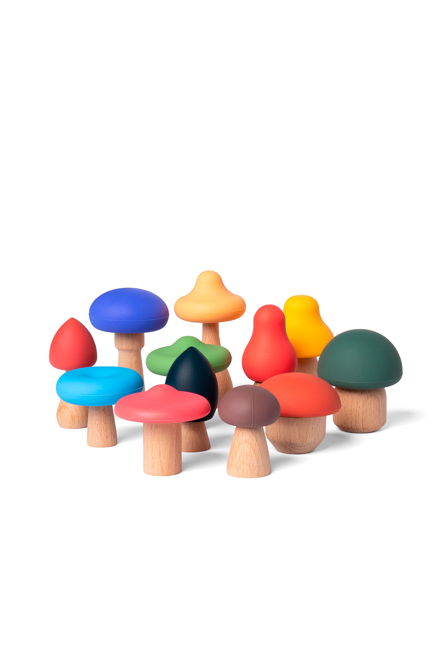 MUSHROOMS FULL COLOR - CHAMPIGNONG MULTICOLOR