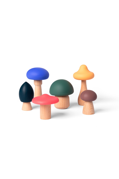 MUSHROOMS FULL COLOR - CHAMPIGNONG MULTICOLOR
