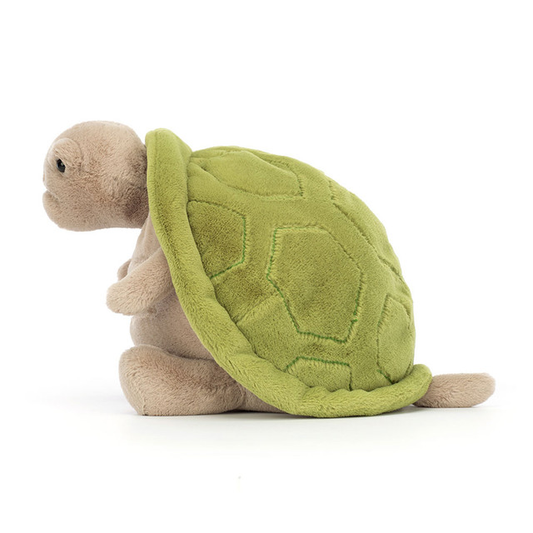 Timmy Turtle - 28cm x 20cm x 16cm