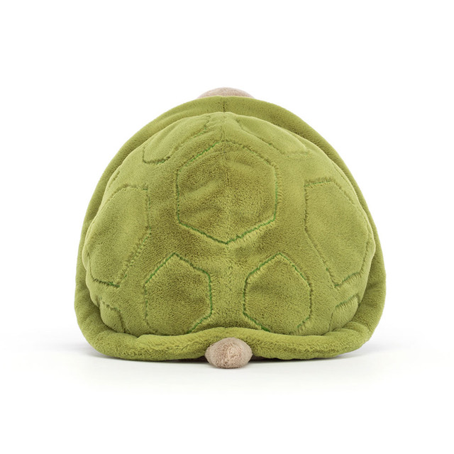 Timmy Turtle - 28cm x 20cm x 16cm